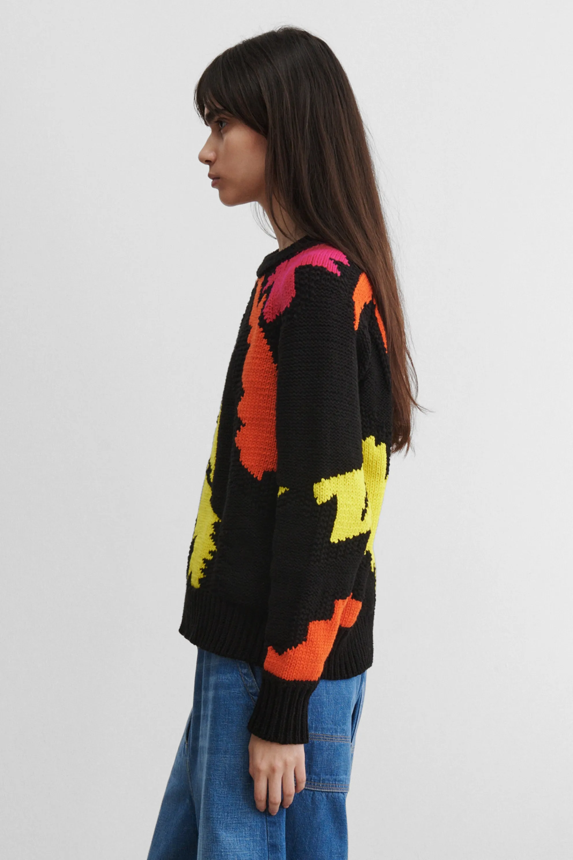 Raleigh Pullover